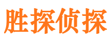 茂港市侦探公司